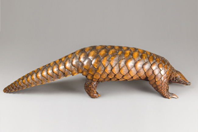 An impressive late 19th century taxidermy Pangolin. Price realised £3,200