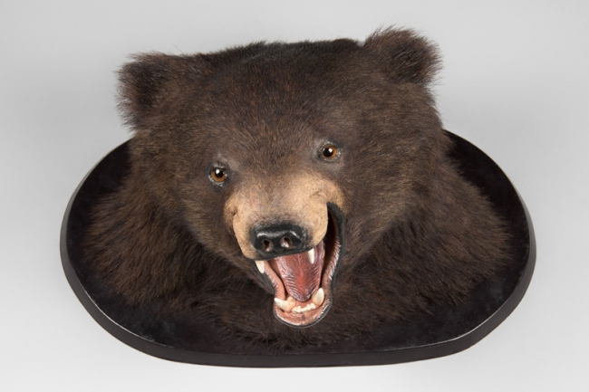 An early 20th century taxidermy Black bear head. Price realised £1,800.