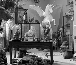 Natural History Auctions