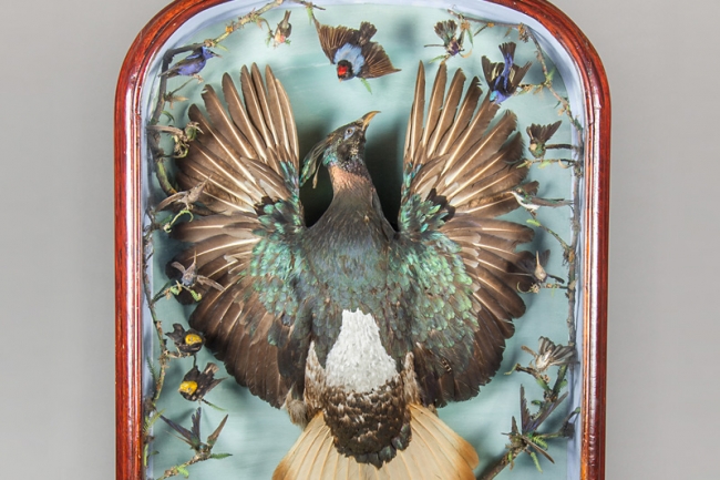 A late 19th century mahogany framed fire screen diorama, comprising of a Himalayan monal and twenty-one exotic birds. Price realised £2,400