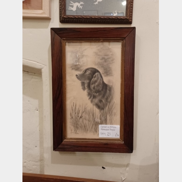 Spaniel in antique rosewood frame