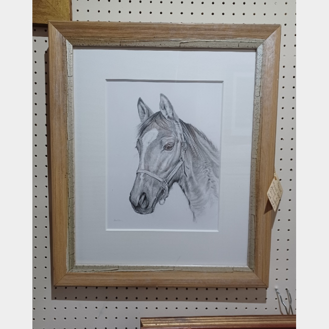 Original Pencil Portrait of Horse