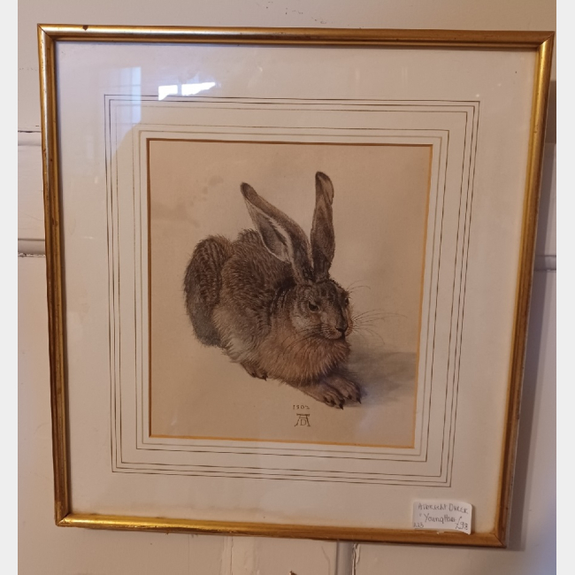 Albrecht Dürer Young Hare