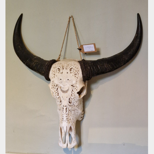 Bali Carved Water Buffalo Skull