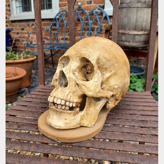 Replica Skull on base